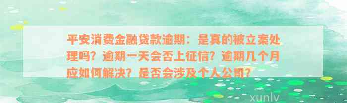 平安消费金融贷款逾期：是真的被立案处理吗？逾期一天会否上征信？逾期几个月应如何解决？是否会涉及个人公司？