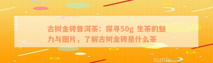 古树金砖普洱茶：探寻50g 生茶的魅力与图片，了解古树金砖是什么茶