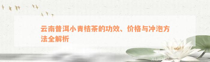 云南普洱小青桔茶的功效、价格与冲泡方法全解析