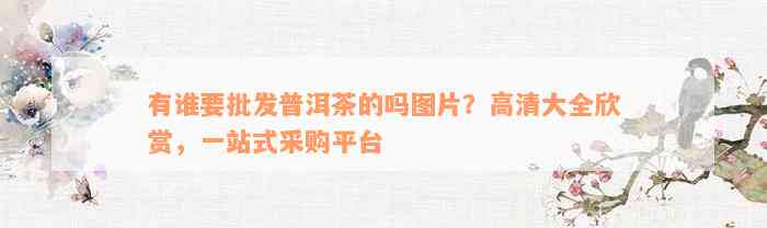 有谁要批发普洱茶的吗图片？高清大全欣赏，一站式采购平台