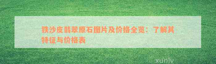 铁沙皮翡翠原石图片及价格全览：了解其特征与价格表