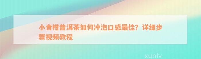 小青柑普洱茶如何冲泡口感最佳？详细步骤视频教程