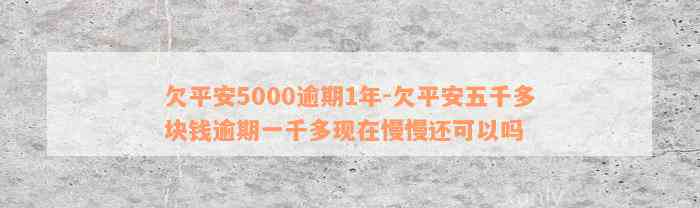 欠平安5000逾期1年-欠平安五千多块钱逾期一千多现在慢慢还可以吗