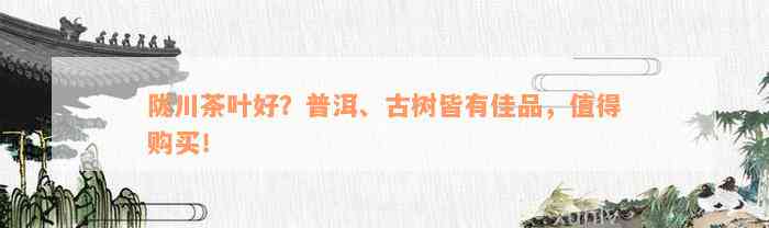 陇川茶叶好？普洱、古树皆有佳品，值得购买！