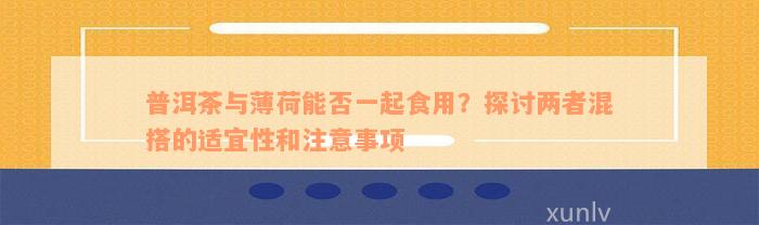 普洱茶与薄荷能否一起食用？探讨两者混搭的适宜性和注意事项