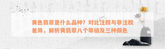 黄色翡翠是什么品种？对比注胶与非注胶差异，解析黄翡翠八个等级及三种颜色