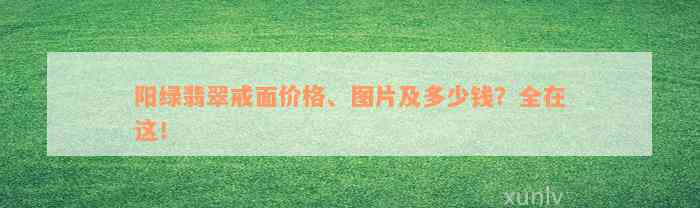 阳绿翡翠戒面价格、图片及多少钱？全在这！