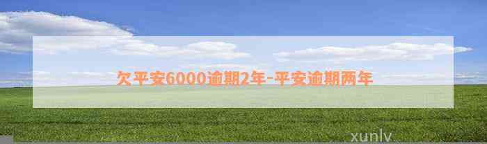 欠平安6000逾期2年-平安逾期两年