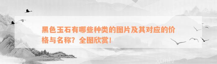 黑色玉石有哪些种类的图片及其对应的价格与名称？全图欣赏！