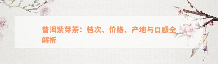 普洱紫芽茶：档次、价格、产地与口感全解析