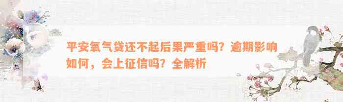 平安氧气贷还不起后果严重吗？逾期影响如何，会上征信吗？全解析