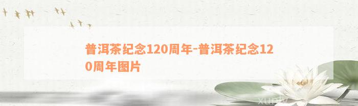 普洱茶纪念120周年-普洱茶纪念120周年图片