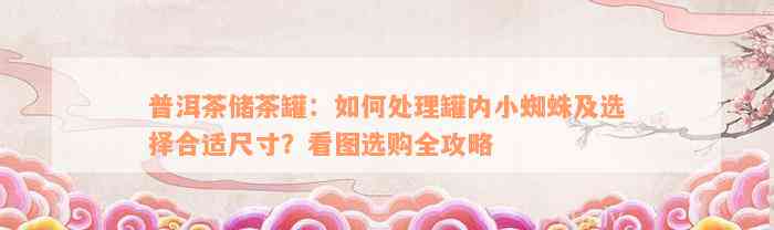 普洱茶储茶罐：如何处理罐内小蜘蛛及选择合适尺寸？看图选购全攻略