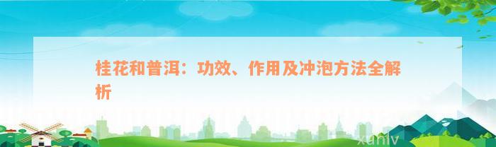 桂花和普洱：功效、作用及冲泡方法全解析