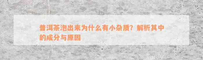 普洱茶泡出来为什么有小杂质？解析其中的成分与原因