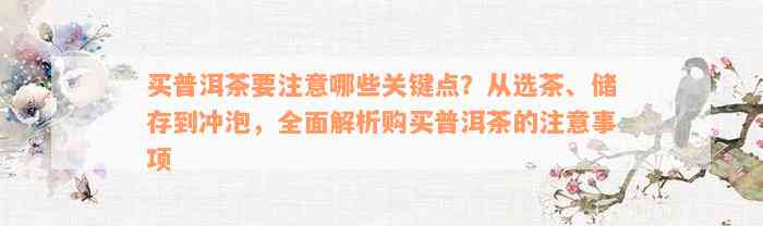 买普洱茶要注意哪些关键点？从选茶、储存到冲泡，全面解析购买普洱茶的注意事项