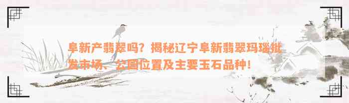 阜新产翡翠吗？揭秘辽宁阜新翡翠玛瑙批发市场、公园位置及主要玉石品种！