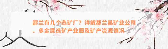 都兰有几个选矿厂？详解都兰县矿业公司、多金属选矿产业园及矿产资源情况