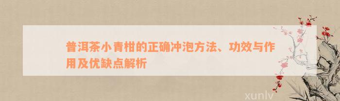 普洱茶小青柑的正确冲泡方法、功效与作用及优缺点解析