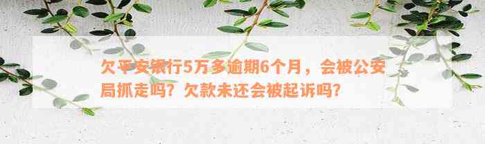 欠平安银行5万多逾期6个月，会被公安局抓走吗？欠款未还会被起诉吗？