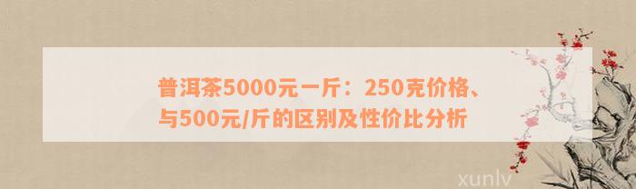 普洱茶5000元一斤：250克价格、与500元/斤的区别及性价比分析