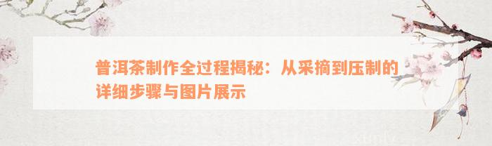 普洱茶制作全过程揭秘：从采摘到压制的详细步骤与图片展示