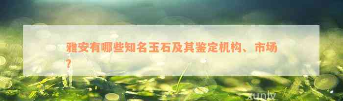 雅安有哪些知名玉石及其鉴定机构、市场？