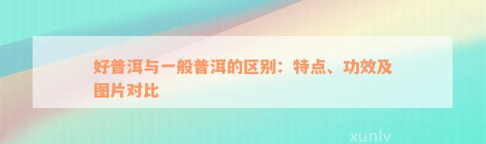 好普洱与一般普洱的区别：特点、功效及图片对比