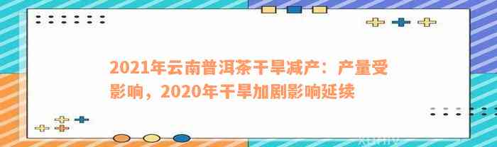 2021年云南普洱茶干旱减产：产量受影响，2020年干旱加剧影响延续