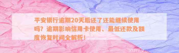 平安银行逾期20天后还了还能继续使用吗？逾期影响信用卡使用、最低还款及额度恢复时间全解析！