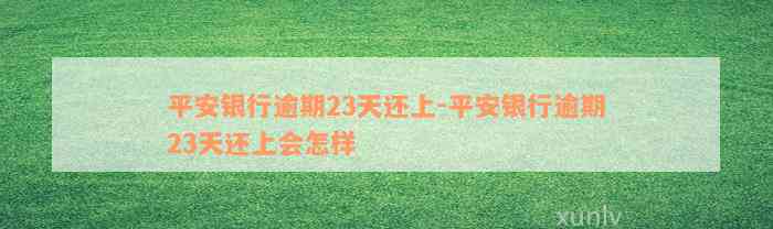 平安银行逾期23天还上-平安银行逾期23天还上会怎样