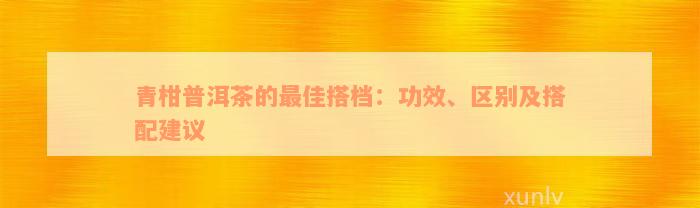 青柑普洱茶的最佳搭档：功效、区别及搭配建议