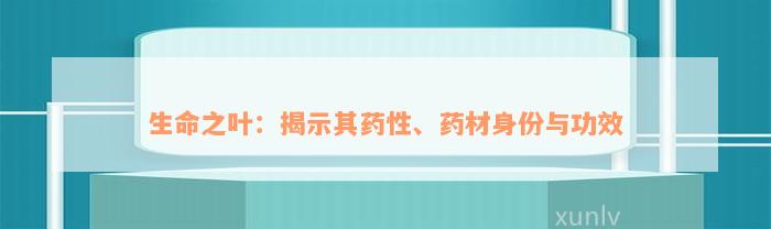 生命之叶：揭示其药性、药材身份与功效