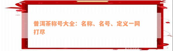 普洱茶称号大全：名称、名号、定义一网打尽