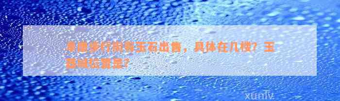 阜康步行街有玉石出售，具体在几楼？玉器城位置是？