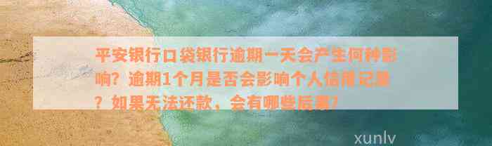 平安银行口袋银行逾期一天会产生何种影响？逾期1个月是否会影响个人信用记录？如果无法还款，会有哪些后果？