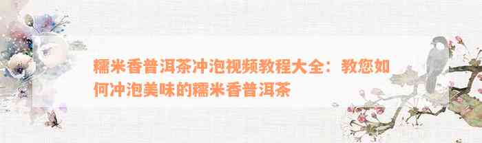 糯米香普洱茶冲泡视频教程大全：教您如何冲泡美味的糯米香普洱茶