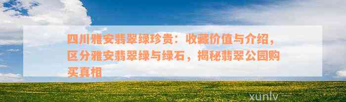 四川雅安翡翠绿珍贵：收藏价值与介绍，区分雅安翡翠绿与绿石，揭秘翡翠公园购买真相