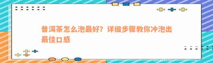 普洱茶怎么泡最好？详细步骤教你冲泡出最佳口感