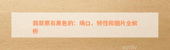 翡翠原石黑色的：场口、特性和图片全解析