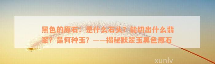 黑色的原石：是什么石头？能切出什么翡翠？是何种玉？——揭秘默翠玉黑色原石