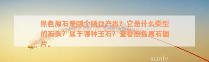 黑色原石是哪个场口产出？它是什么类型的石头？属于哪种玉石？查看黑色原石图片。