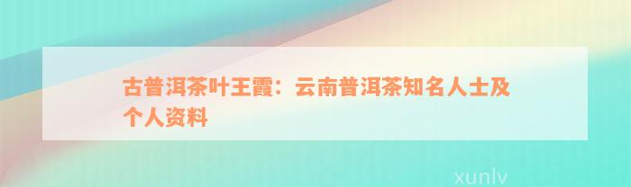 古普洱茶叶王霞：云南普洱茶知名人士及个人资料