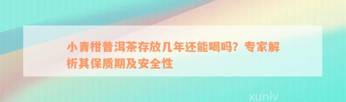 小青柑普洱茶存放几年还能喝吗？专家解析其保质期及安全性