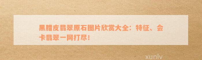 黑腊皮翡翠原石图片欣赏大全：特征、会卡翡翠一网打尽！