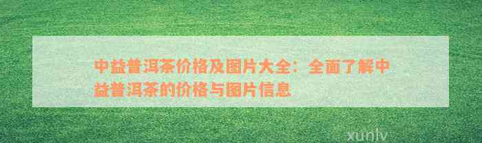 中益普洱茶价格及图片大全：全面了解中益普洱茶的价格与图片信息