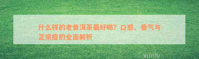 什么样的老普洱茶最好喝？口感、香气与正宗度的全面解析