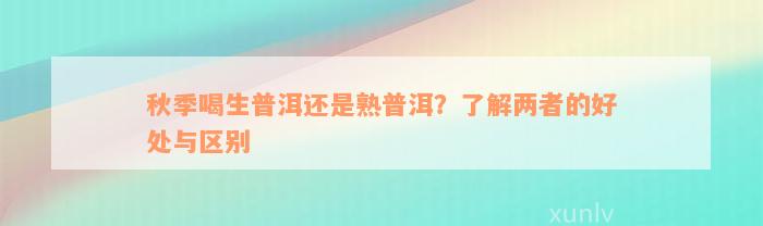 秋季喝生普洱还是熟普洱？了解两者的好处与区别