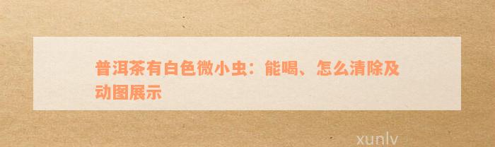 普洱茶有白色微小虫：能喝、怎么清除及动图展示