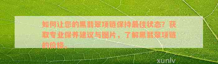 如何让您的黑翡翠项链保持最佳状态？获取专业保养建议与图片，了解黑翡翠项链的价格。